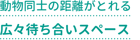 動物同士の距離がとれる広々待ち合いスペース