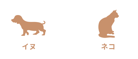 イヌ　ネコ　ウサギ　ハムスター