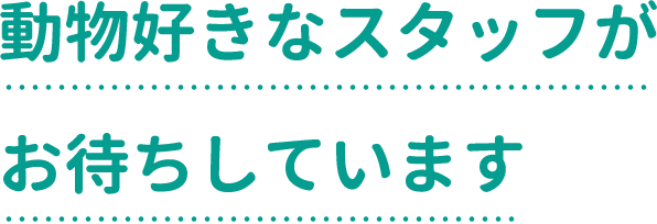 動物好きなスタッフがお待ちしています