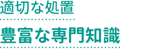 適切な処置豊富な専門知識