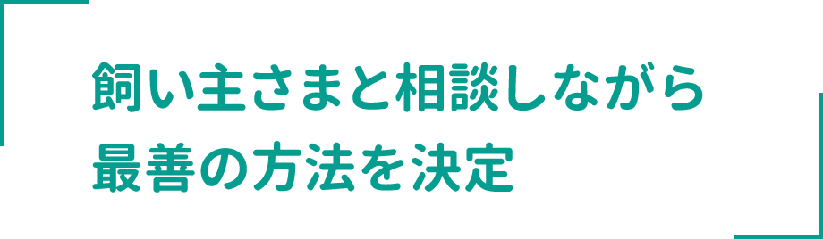 飼い主さまと相談しながら 最善の方法を決定